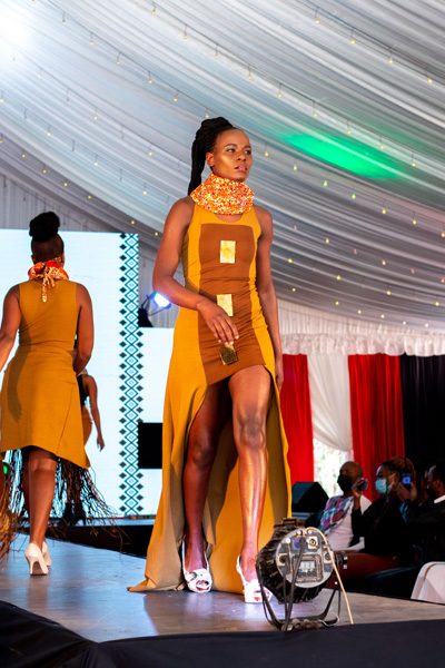 Unveiling The Kenya Event Model