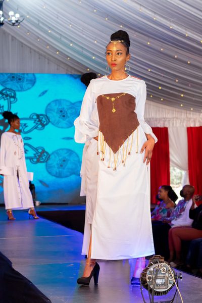 Unveiling The Kenya Event Model