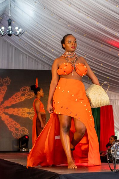 Unveiling The Kenya Event Model