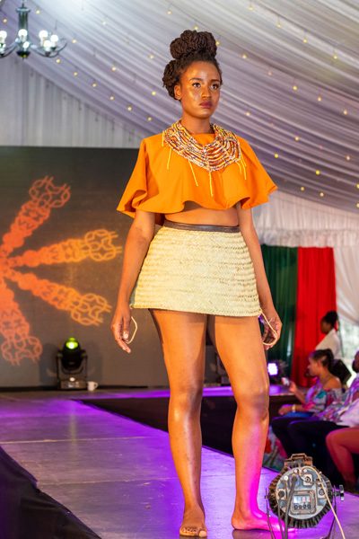 Unveiling The Kenya Event Model