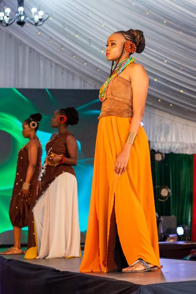 Unveiling The Kenya Event Model